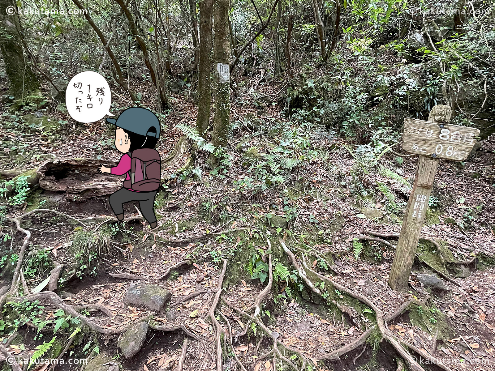 日本百名山開聞岳8合目の写真と登山者のイラスト