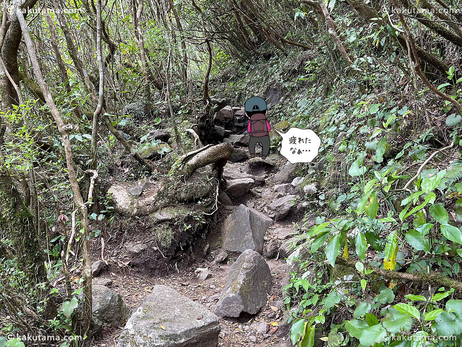 日本百名山開聞岳登山道の写真と登山者のイラスト