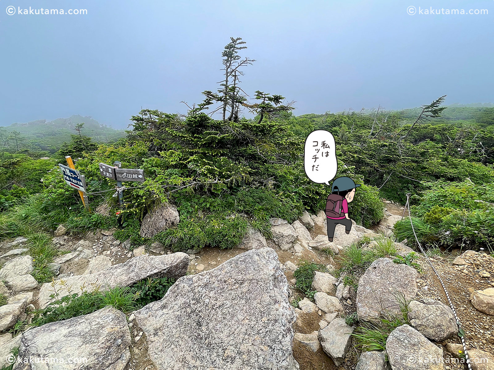 日本百名山、早池峰山の小田越コースの分岐点の写真