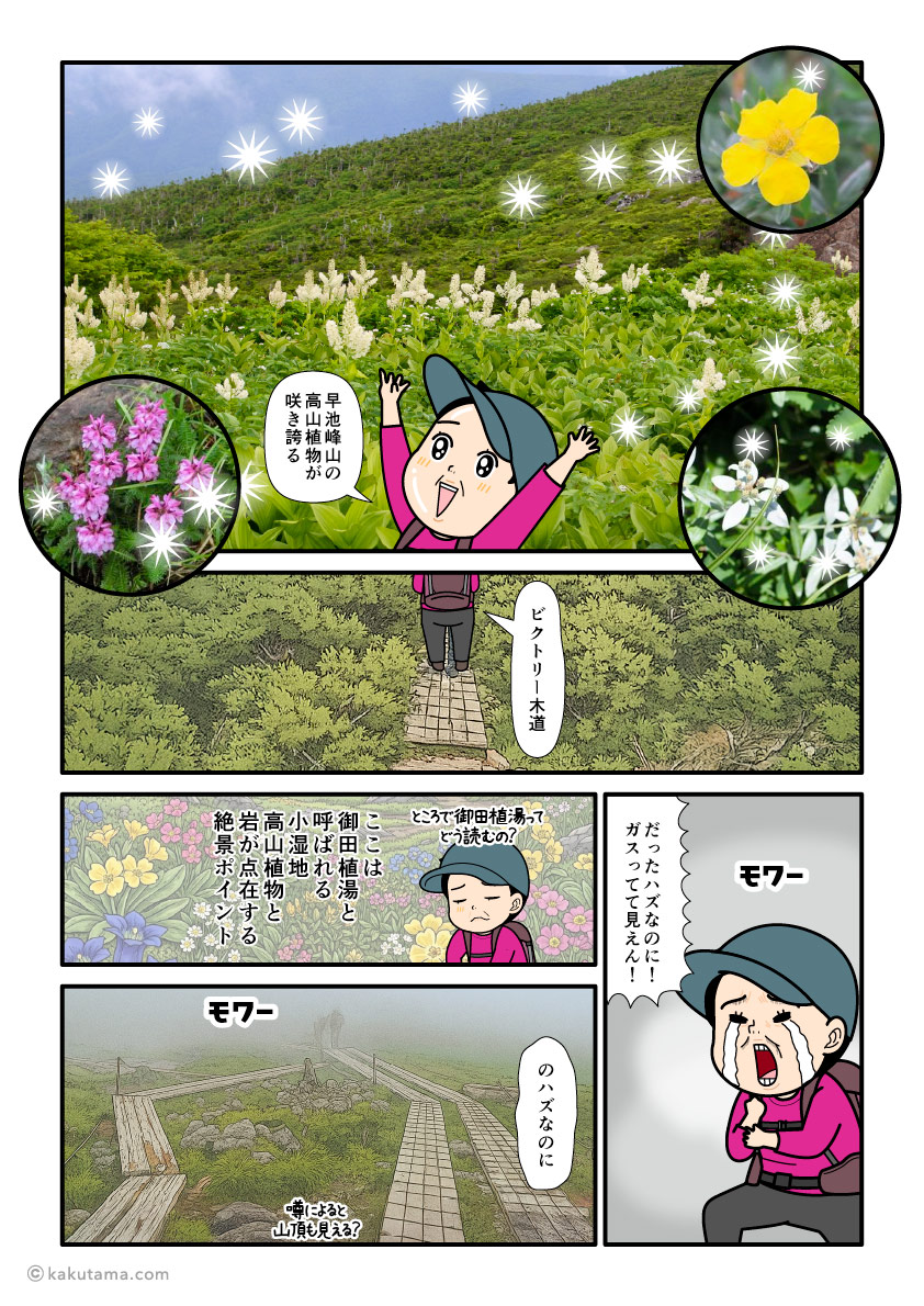 日本百名山、早池峰山の岩場を登り、御田植湯のお花畑を妄想する登山者の漫画とイラスト