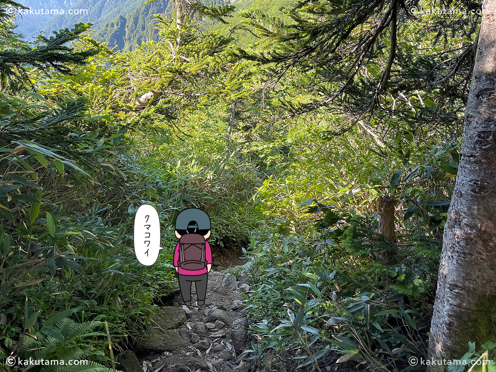 スゴの頭から下っていく登山道の写真と登山者のイラスト