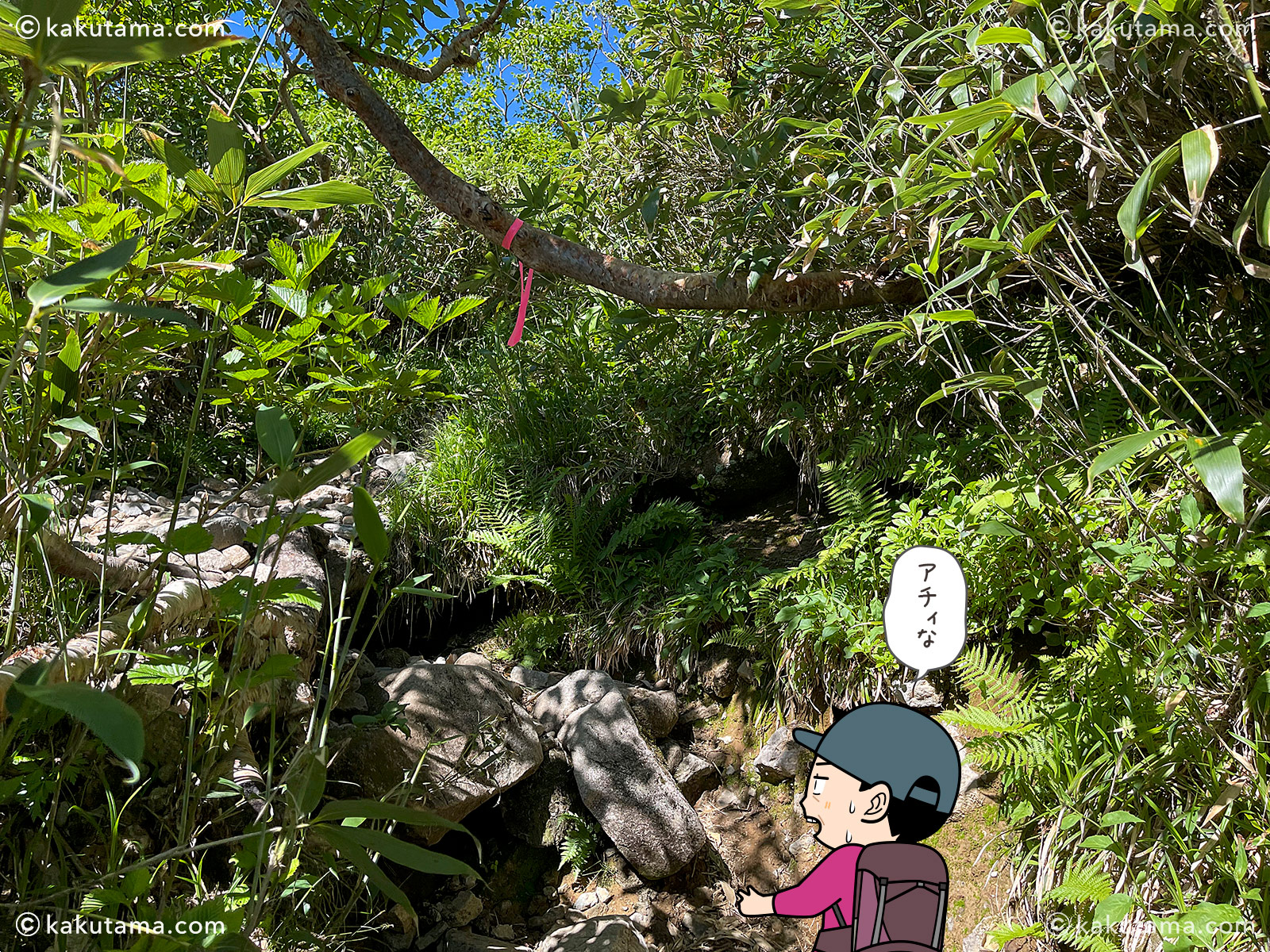 スゴ乗越からスゴ乗越小屋方面へ向かう登山道の写真と登山者のイラスト