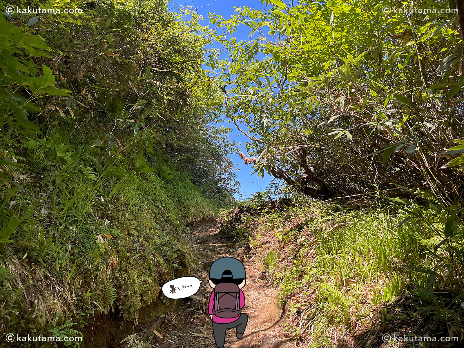 スゴ乗越からスゴ乗越小屋へ向かっての登山道の写真と登山者のイラスト