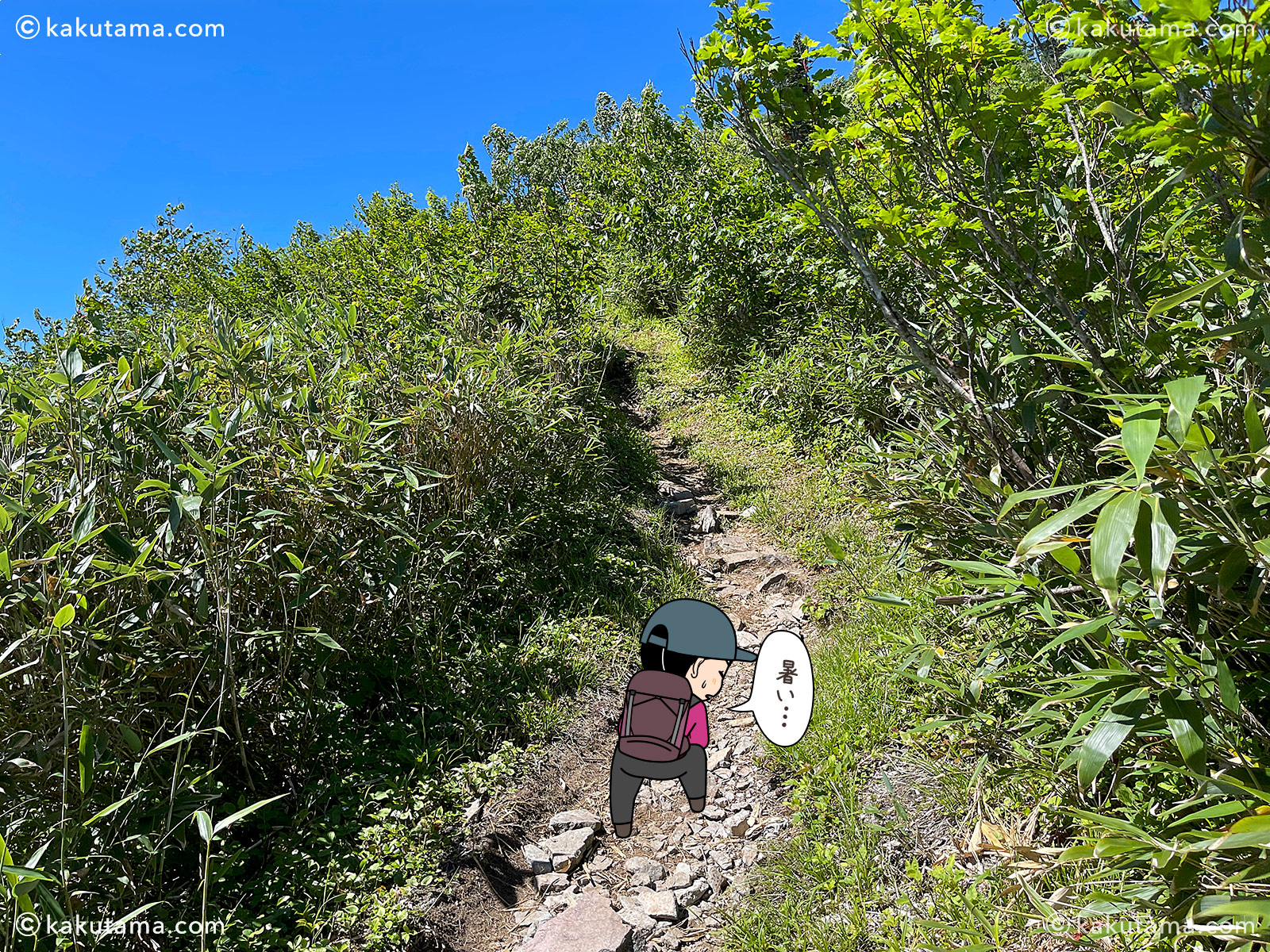 スゴ乗越からスゴ乗越小屋へ向かっての登山道の写真と登山者のイラスト