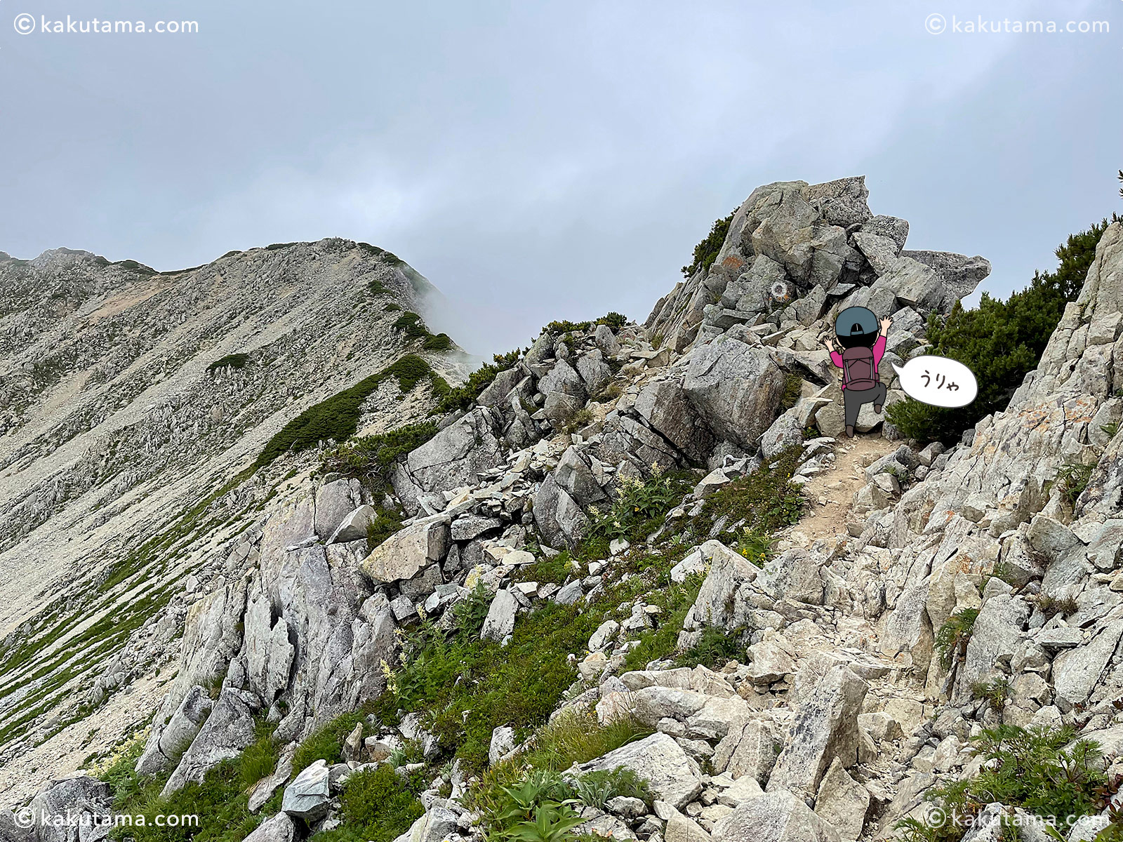 ガスってきた薬師岳への登山道の写真と登山者のイラスト