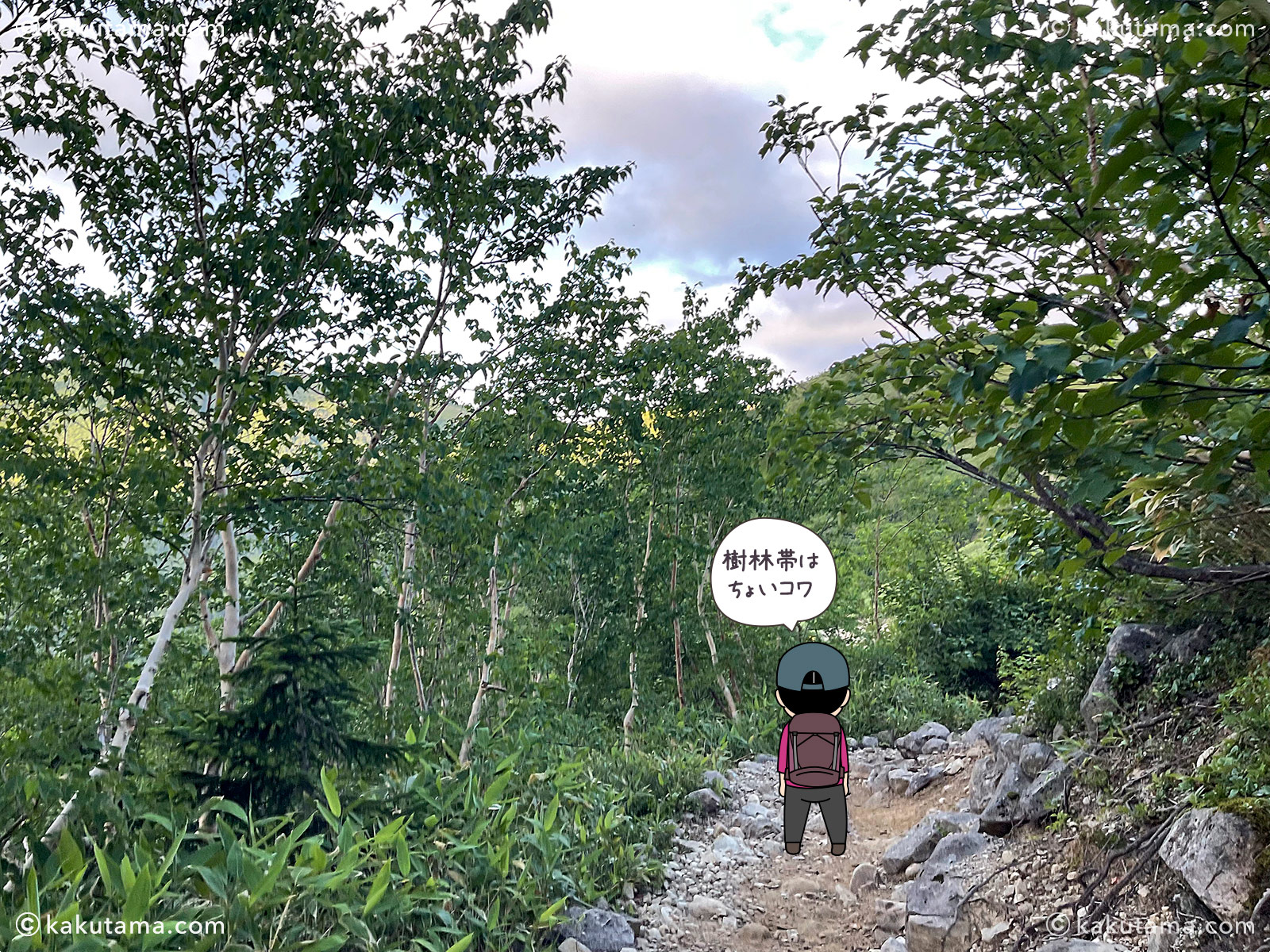 薬師峠への登山道と樹林帯の写真と登山者のイラスト