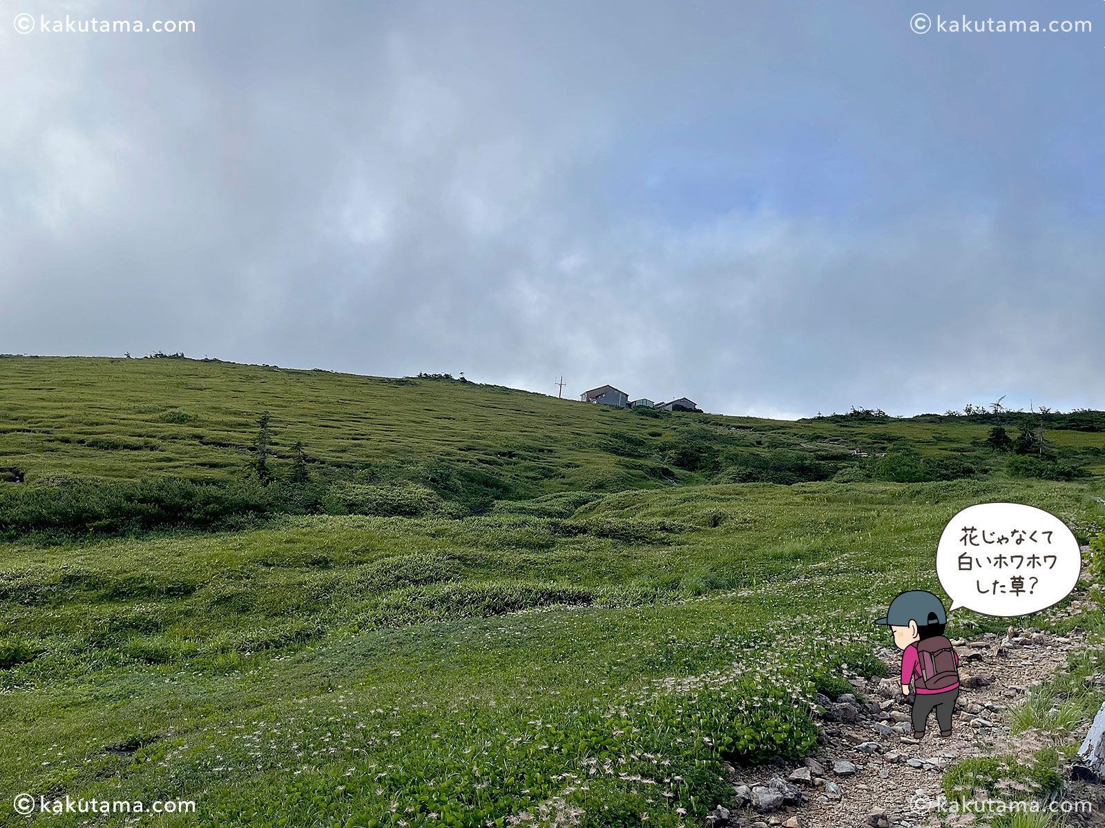 北アルプス、太郎平小屋周辺の写真と登山者のイラスト