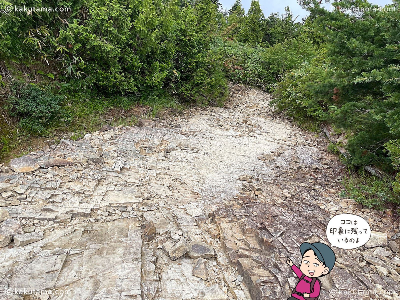 北アルプス、太郎平小屋から折立へ下山していく途中のスラブの写真と登山者のイラスト