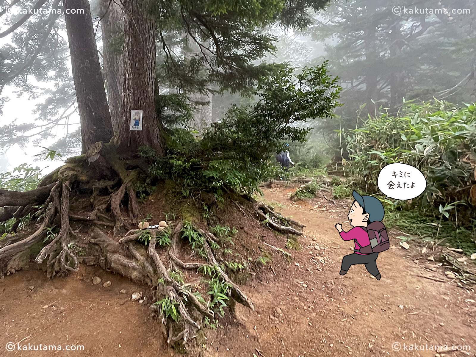 北アルプス、太郎平小屋から折立へ下山していく途中のメガネっ娘イラスト看板の写真と登山者のイラスト