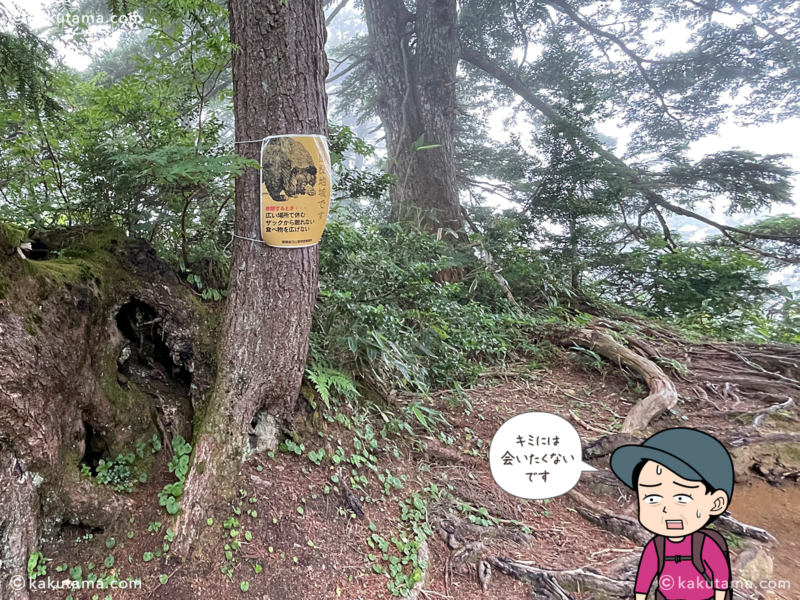 北アルプス、太郎平小屋から折立へ下山していく途中の熊に注意の看板の写真と登山者のイラスト