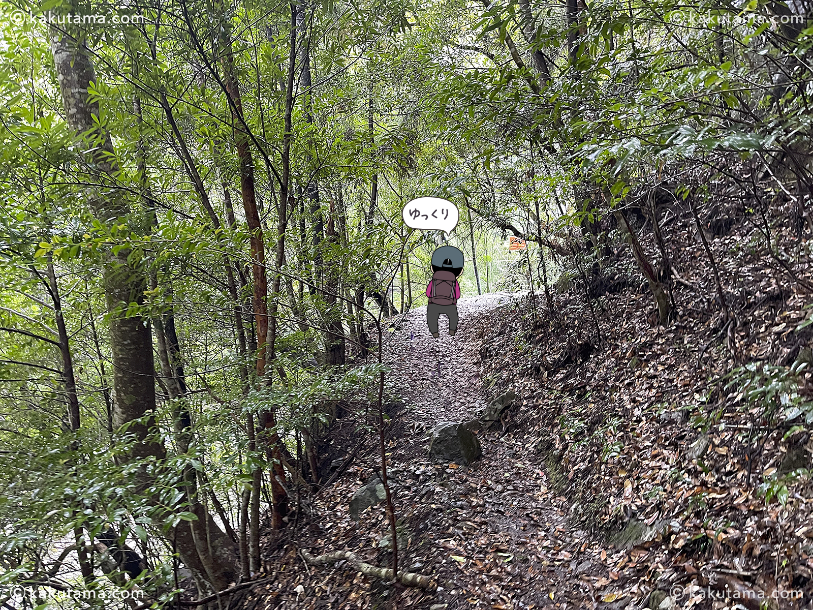 三重県大杉谷の登山道の写真と登山者のイラスト