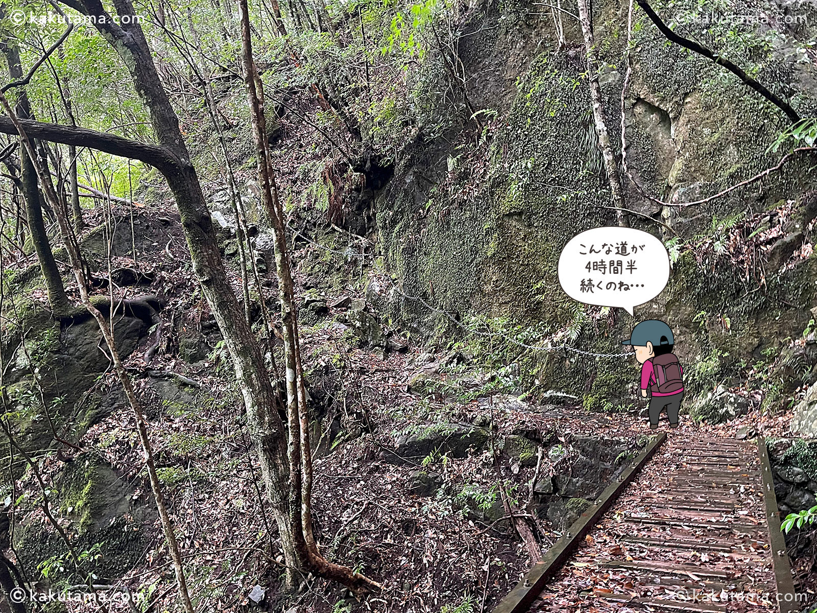 三重県大杉谷の鎖場と橋の登山道の写真と登山者のイラスト