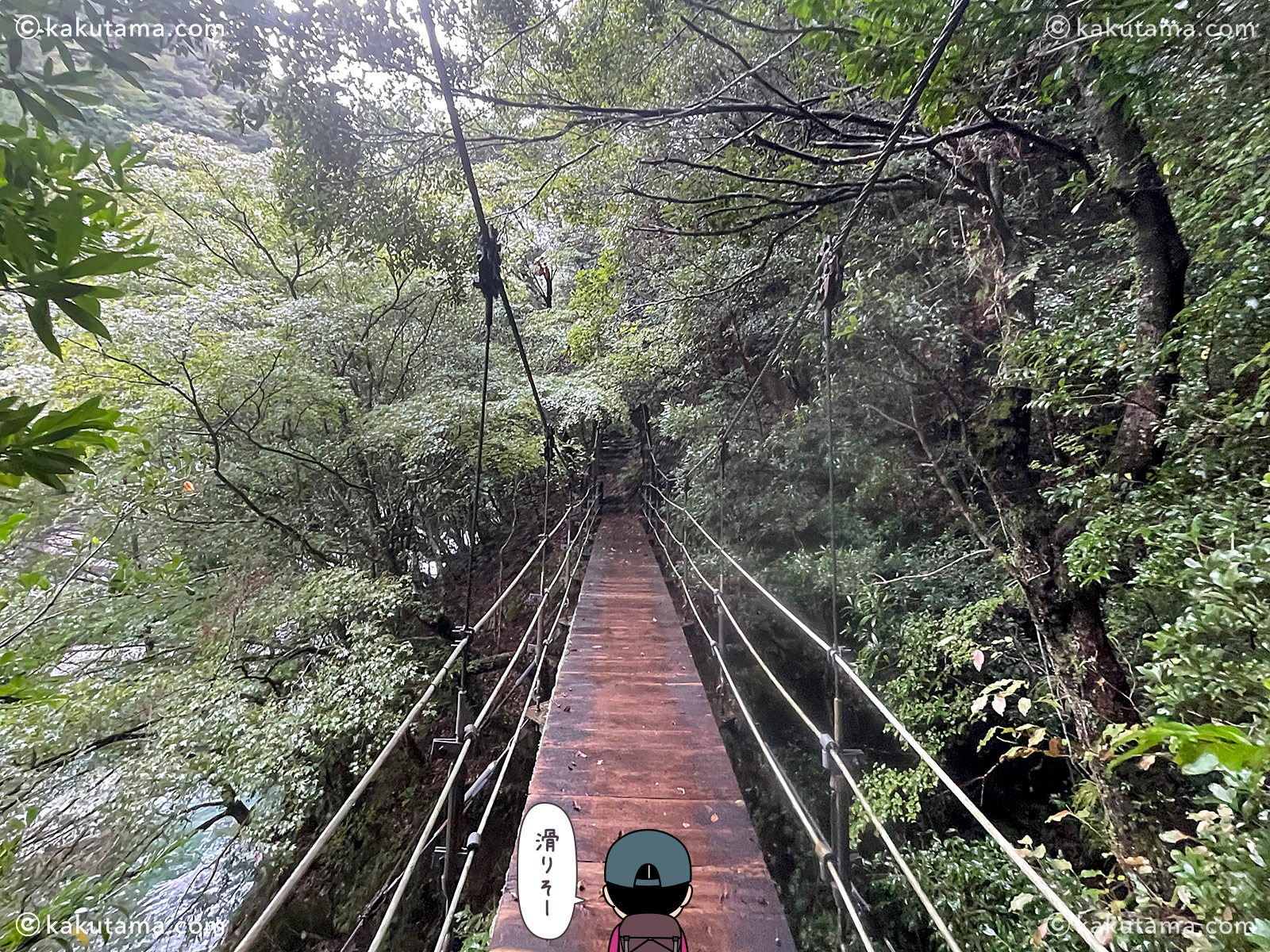 三重県大杉谷の大日嵓吊橋の登山道の写真と登山者のイラスト