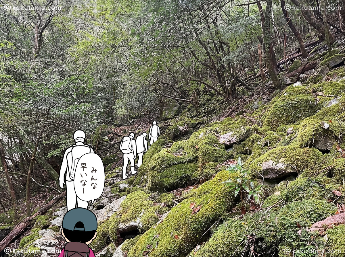 大杉谷の登山道の写真と登山者のイラスト