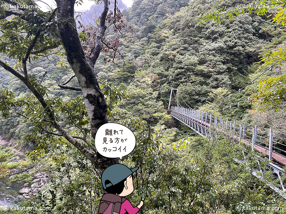 大杉谷日浦杉吊橋の写真と登山者のイラスト