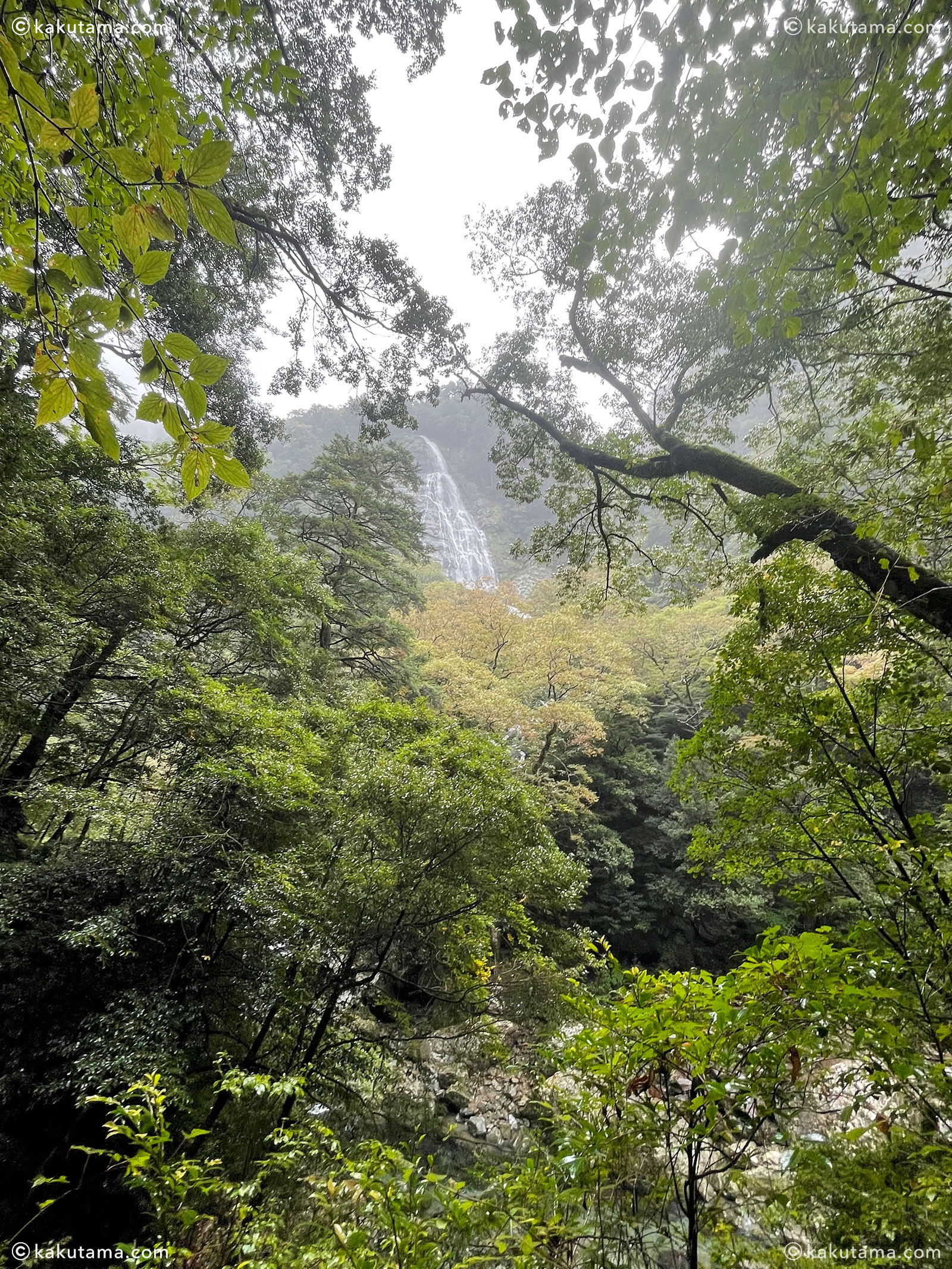 大杉谷の千尋滝の写真と登山者のイラスト