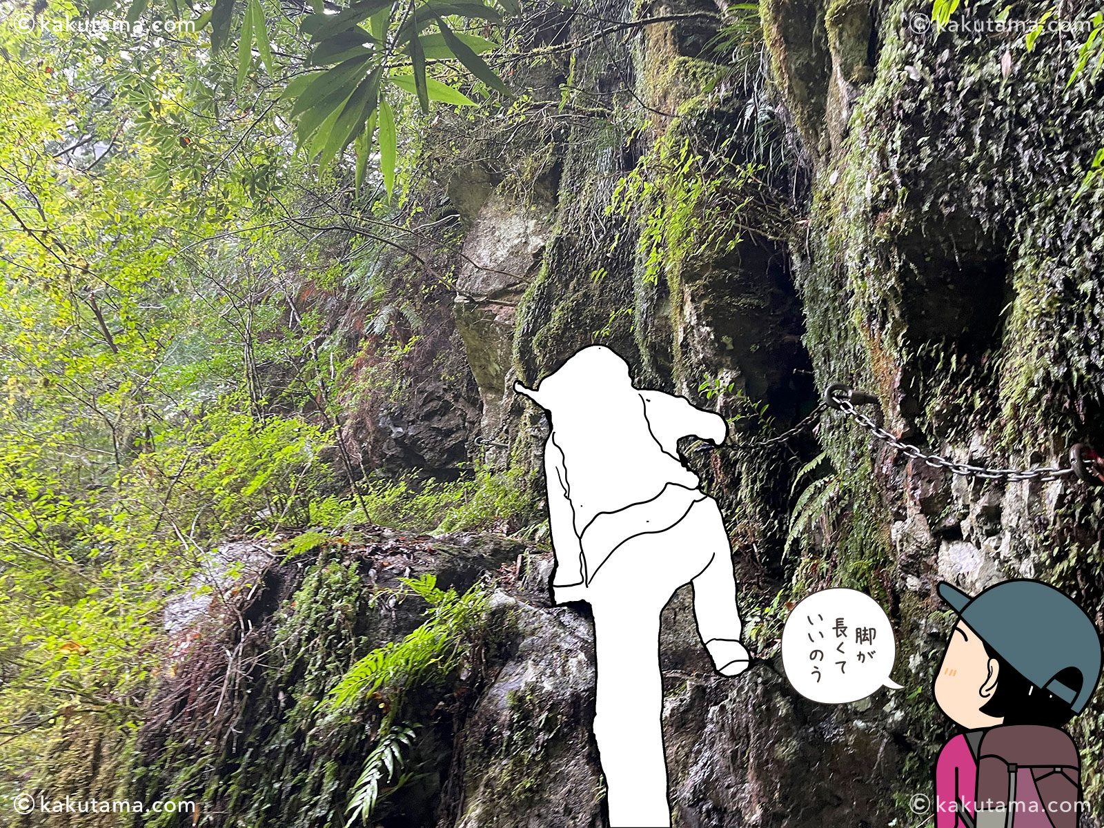 三重県・大杉谷の登山道の写真と登山者のイラスト