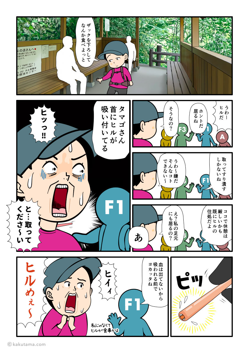大杉谷、千尋滝の近くの休憩所に到着した登山者がヤマビルに喰われている漫画