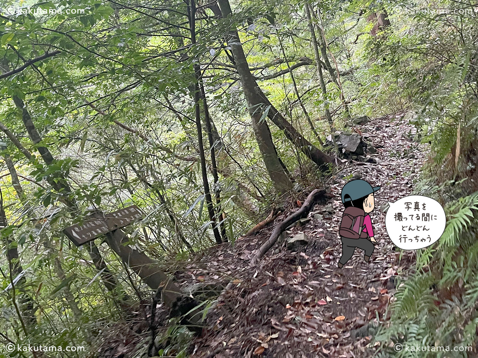 大杉谷・桃ノ木山の家から大台ケ原へ向かっての登山道の写真と登山者のイラスト