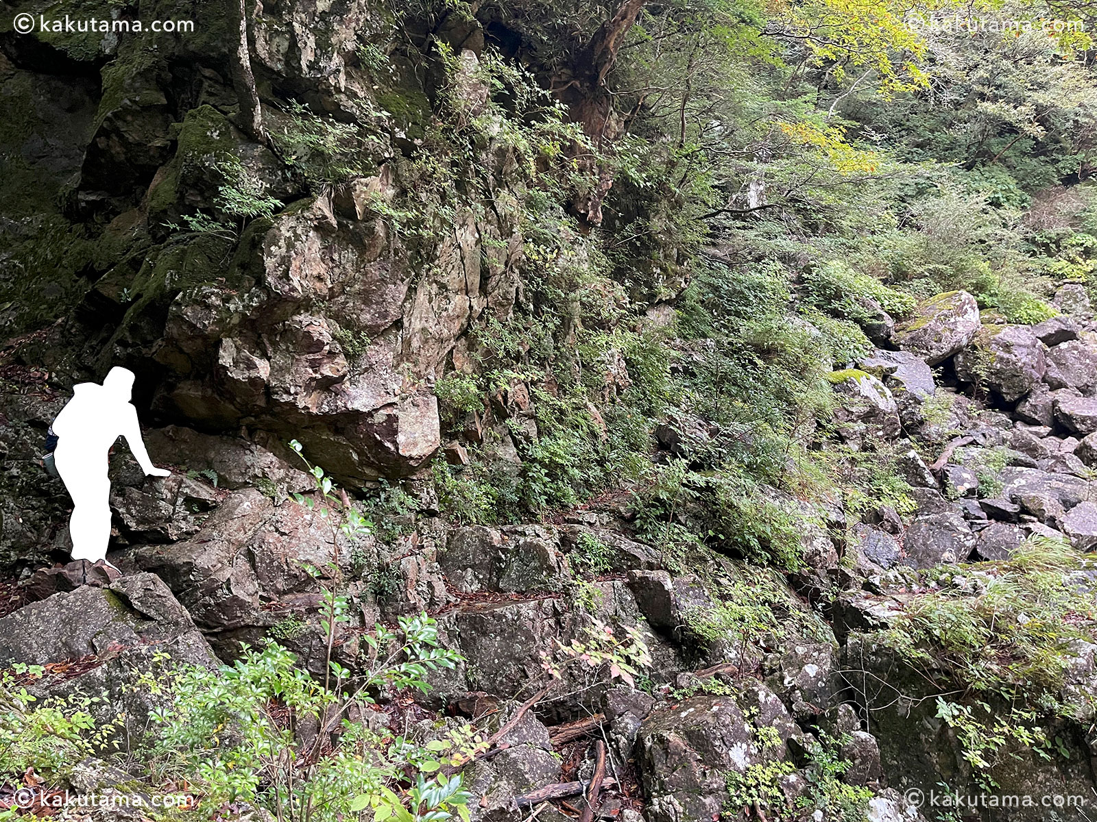 大杉谷から大台ケ原へ向かっての登山道の写真
