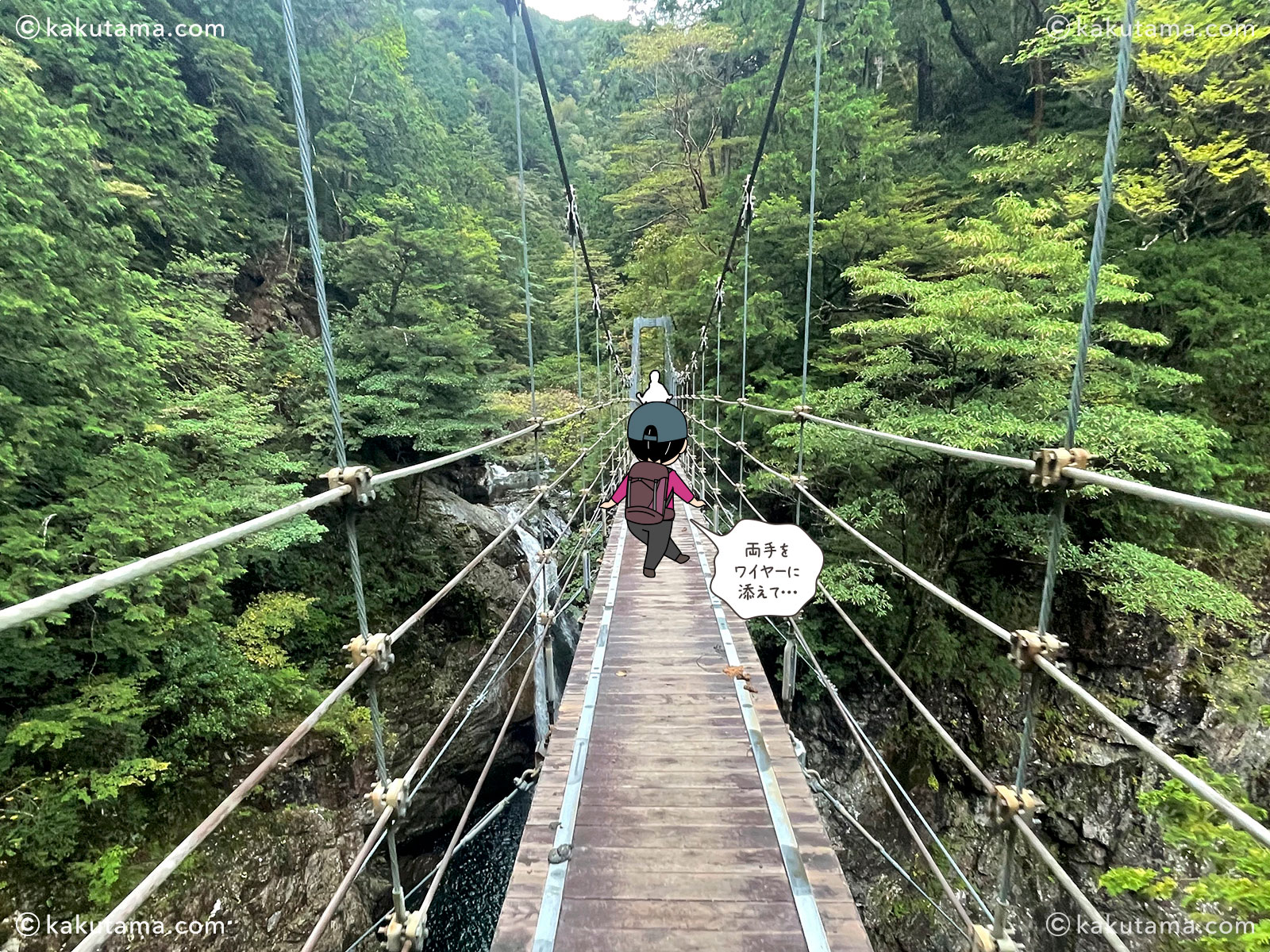 大杉谷から大台ケ原へ向かう途中の隠滝吊橋の写真と登山者のイラスト