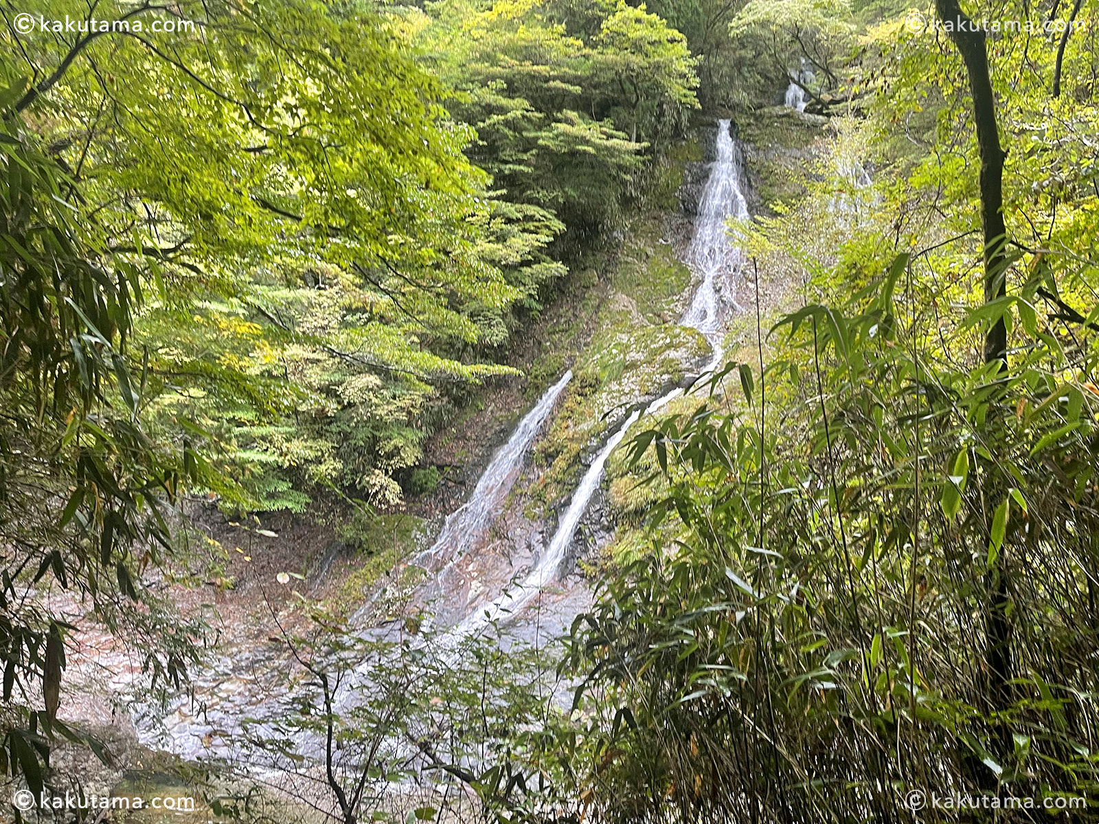 大杉谷から大台ケ原へ向かう途中の与八郎滝の写真