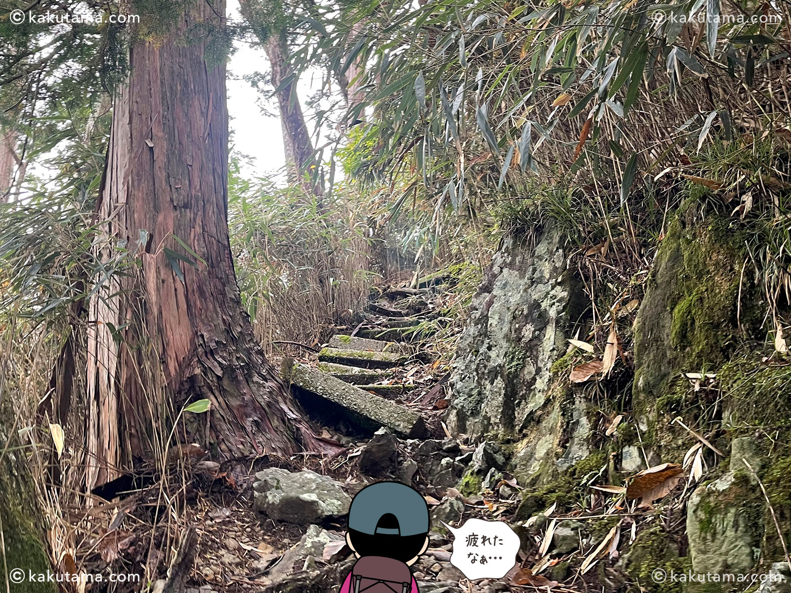 大杉谷の堂倉滝から大台ケ原へ向かっての登山道の写真と登山者のイラスト