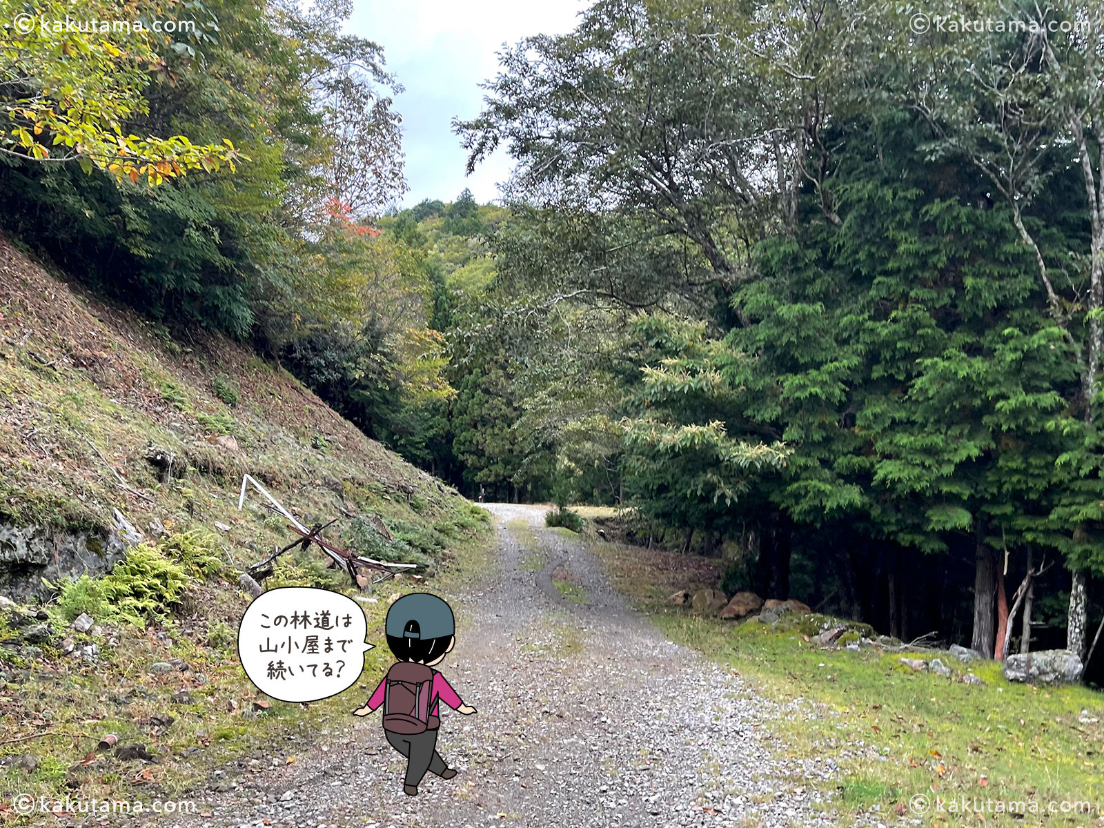 大杉谷から大台ケ原へ縦走する途中ある林道の写真と登山者のイラスト