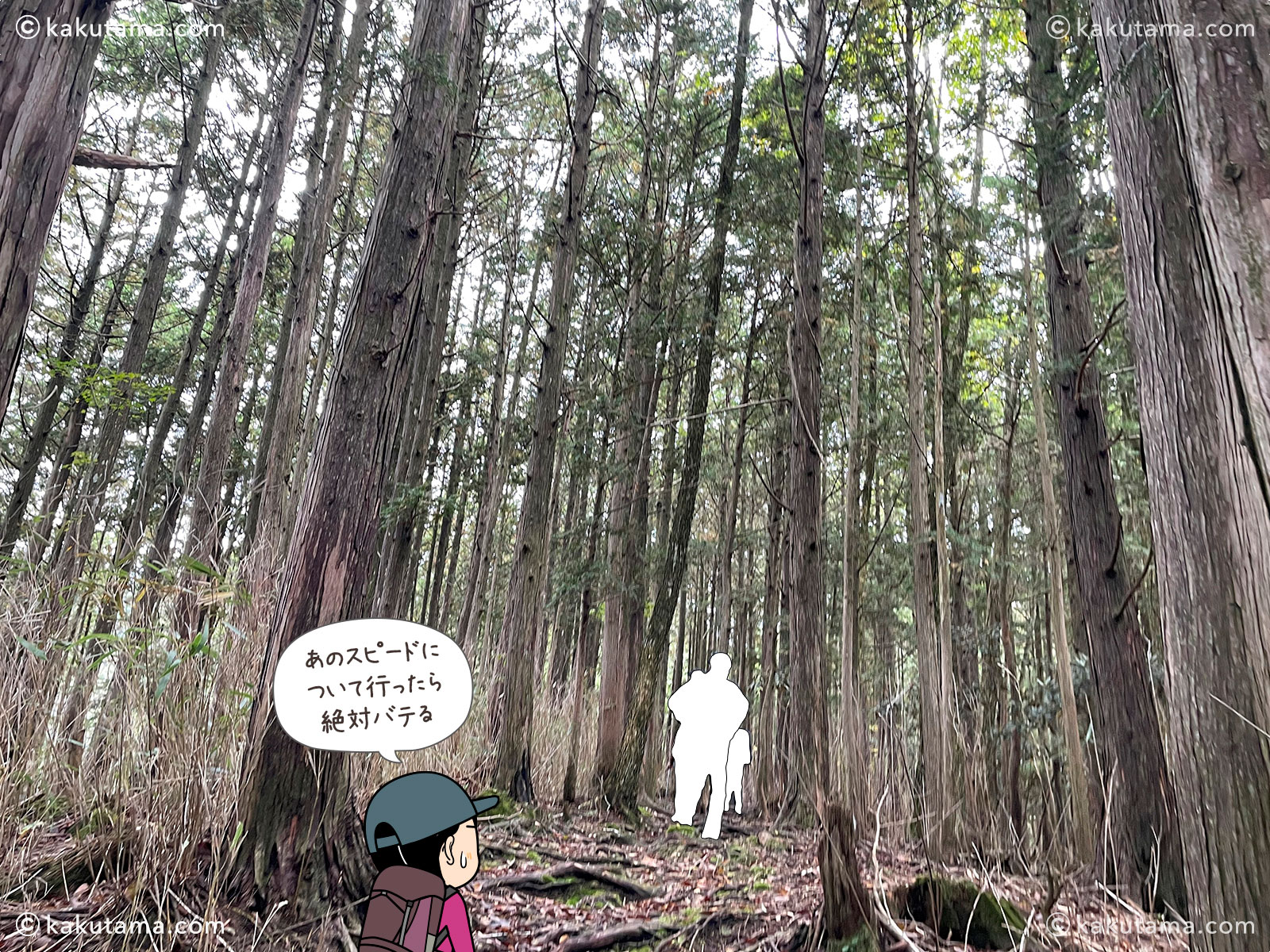 大杉谷から大台ケ原へ縦走する登山道の写真と登山者のイラスト