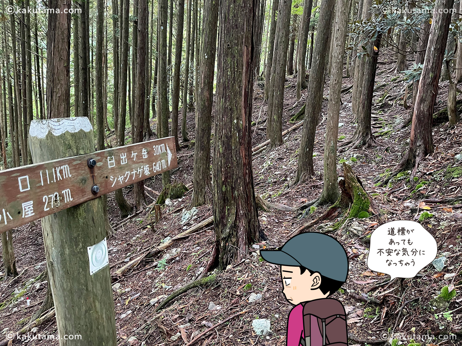 大杉谷から大台ケ原へ縦走する登山道の写真と登山者のイラスト