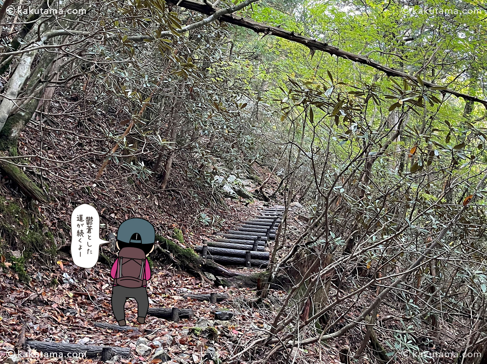 大杉谷から大台ケ原への縦走登山の登山道の写真と登山者のイラスト