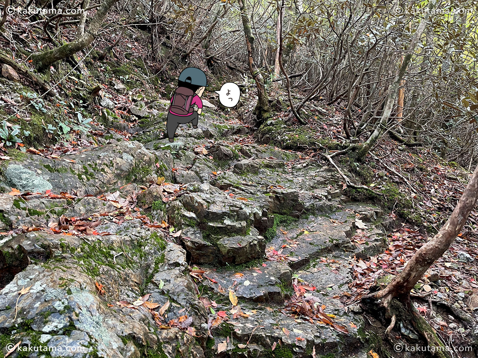 大杉谷から大台ケ原への縦走登山の登山道の写真と登山者のイラスト