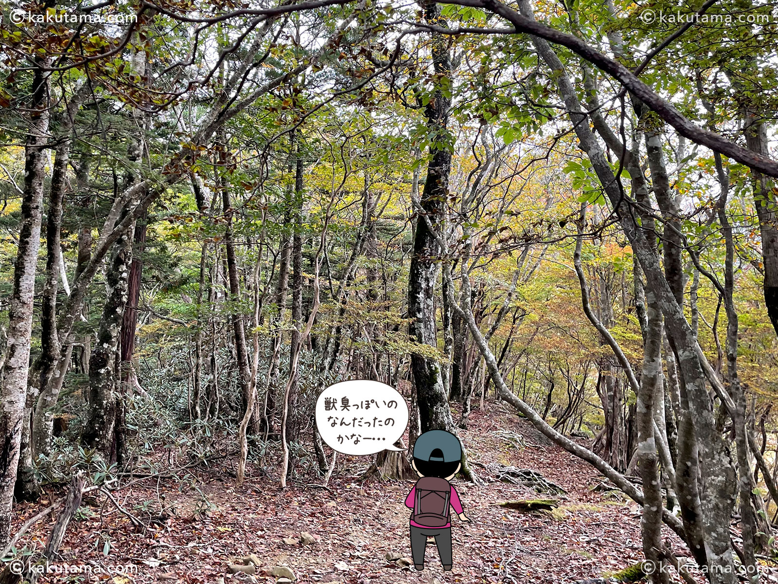 大杉谷から大台ケ原への縦走登山の登山道の写真と登山者のイラスト