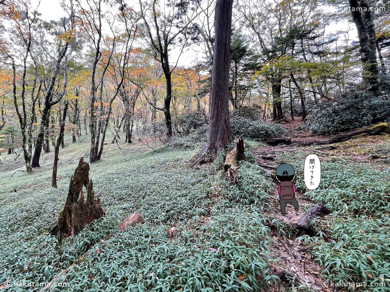 大杉谷から大台ケ原への縦走登山の登山道の写真と登山者のイラスト