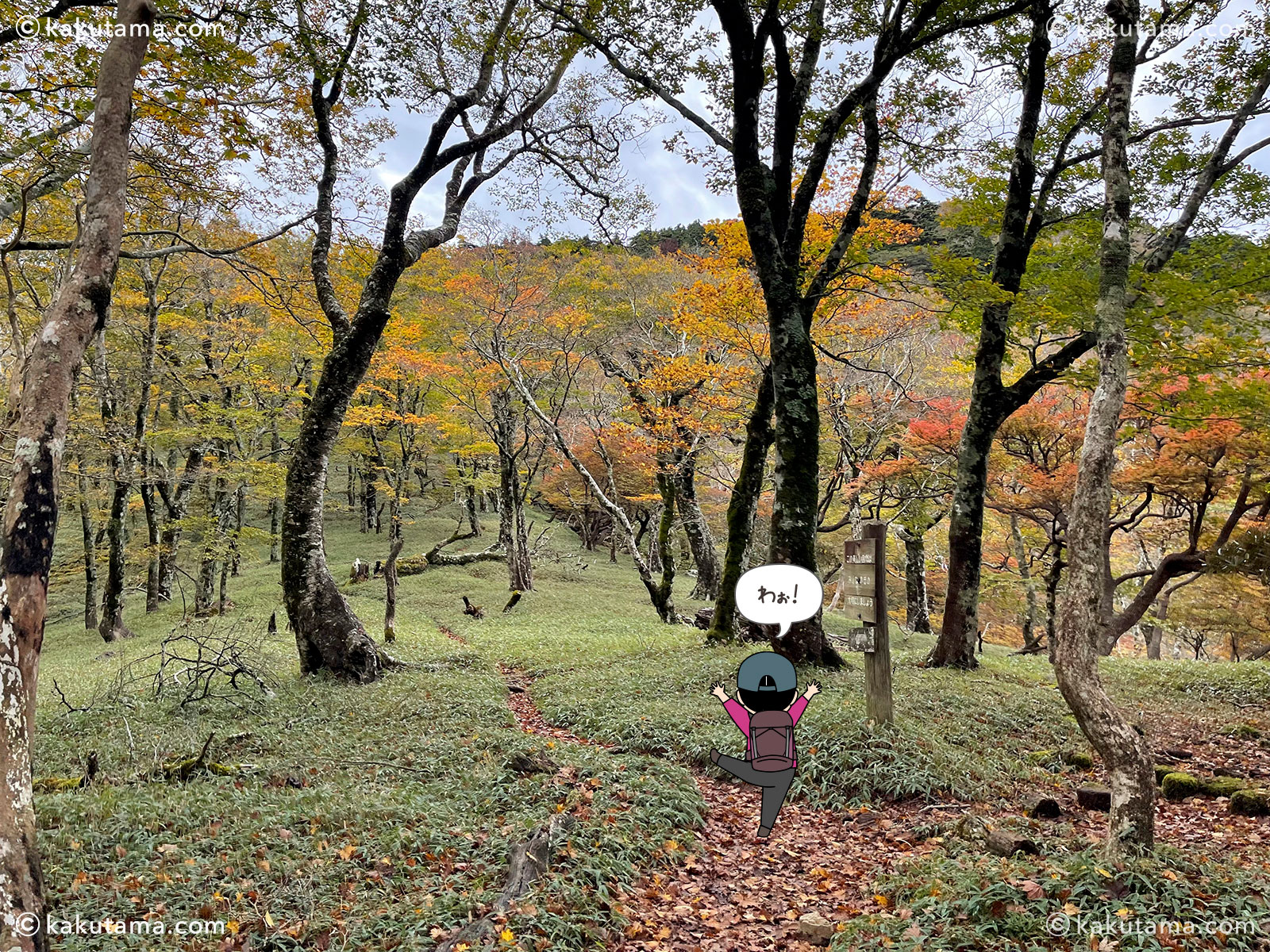 大杉谷から大台ケ原への縦走登山の登山道の写真と登山者のイラスト