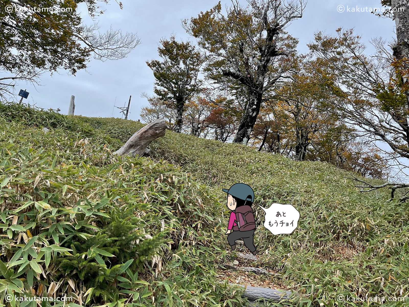 大杉谷から大台ケ原への縦走登山の登山道の日出ヶ岳への登り道写真と登山者のイラスト