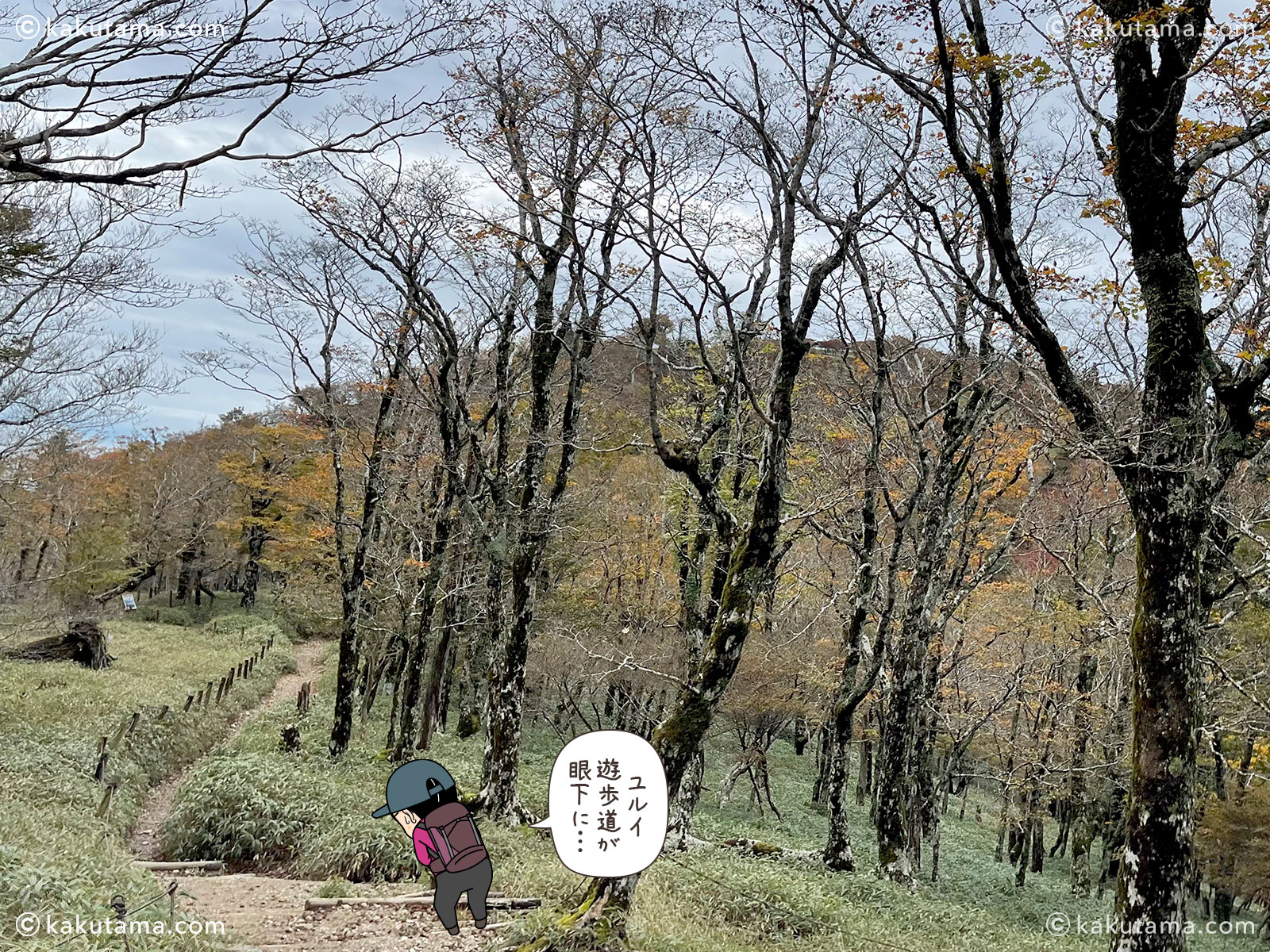 日本百名山の大台ケ原・日出ヶ岳山頂から下った場所の遊歩道の写真と登山者のイラスト