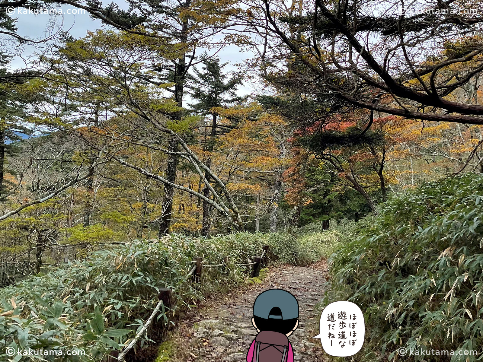 日出ヶ岳から大台ケ原ビジターセンターへの登山道の写真と登山者のイラスト