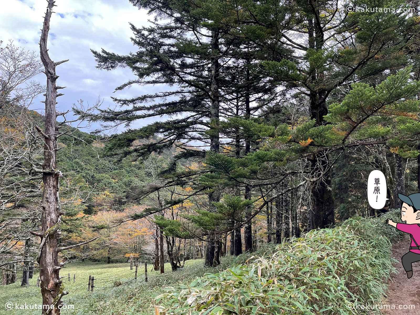 日出ヶ岳から大台ケ原ビジターセンターへの登山道の写真と登山者のイラスト
