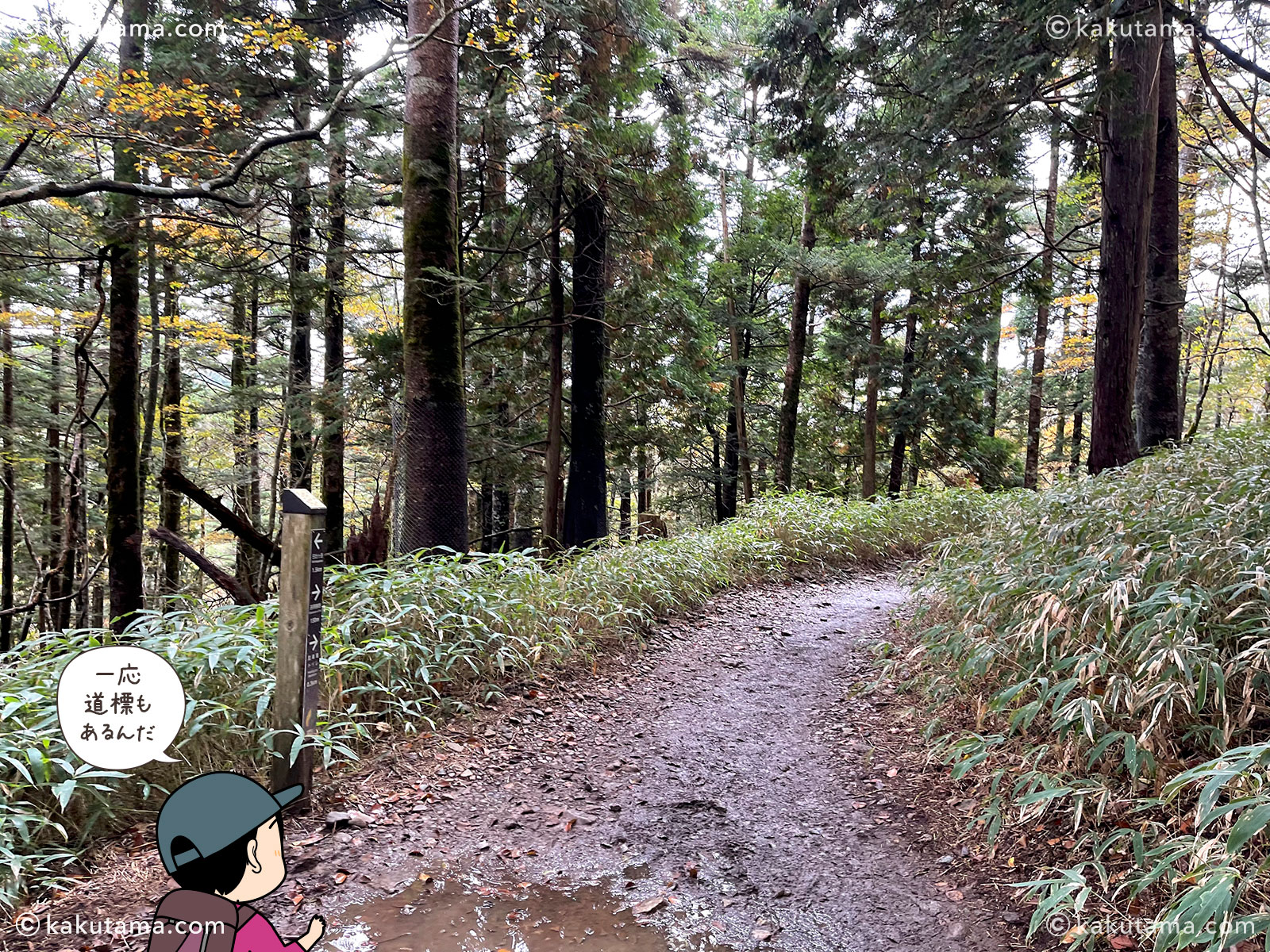 日出ヶ岳から大台ケ原ビジターセンターへの登山道の写真と登山者のイラスト