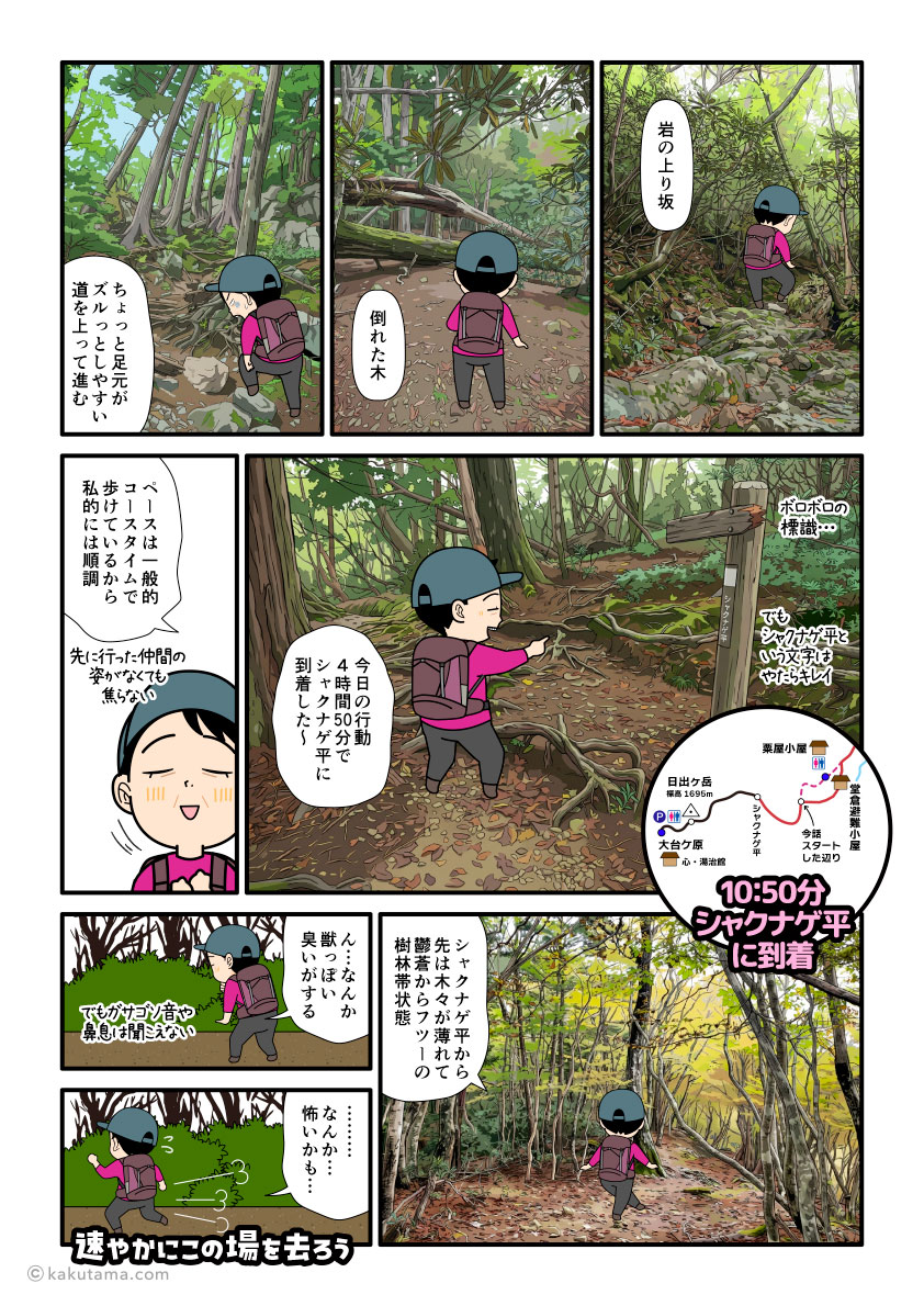 大杉谷から大台ケ原への縦走登山の登山道でシャクナゲ平を歩く登山者の漫画とイラスト