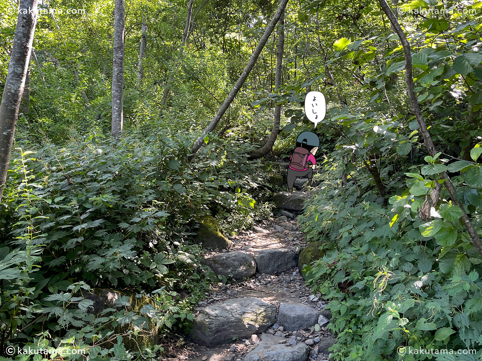 白山、砂坊新道の登山道の写真と登山者のイラスト