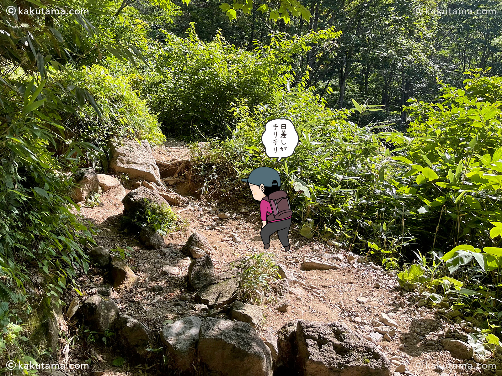 白山、砂坊新道の登山道の写真と登山者のイラスト