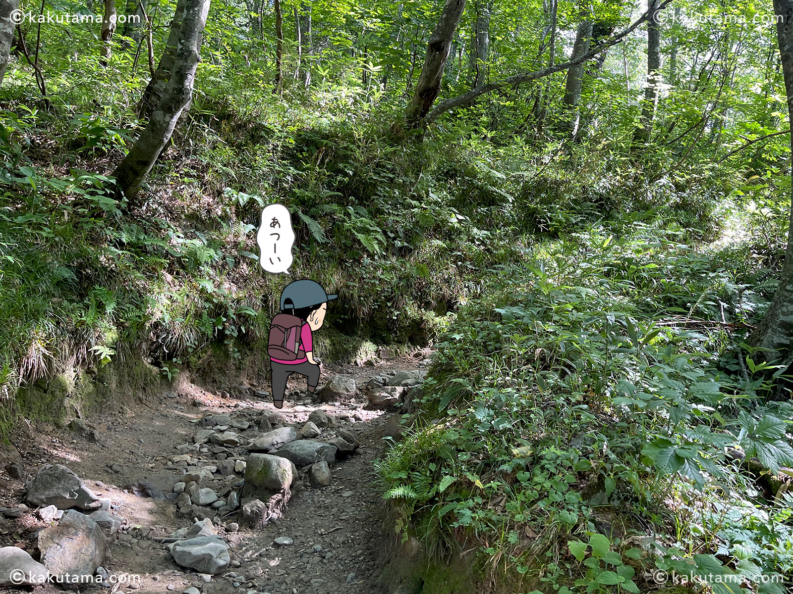 白山、砂坊新道の登山道の写真と登山者のイラスト