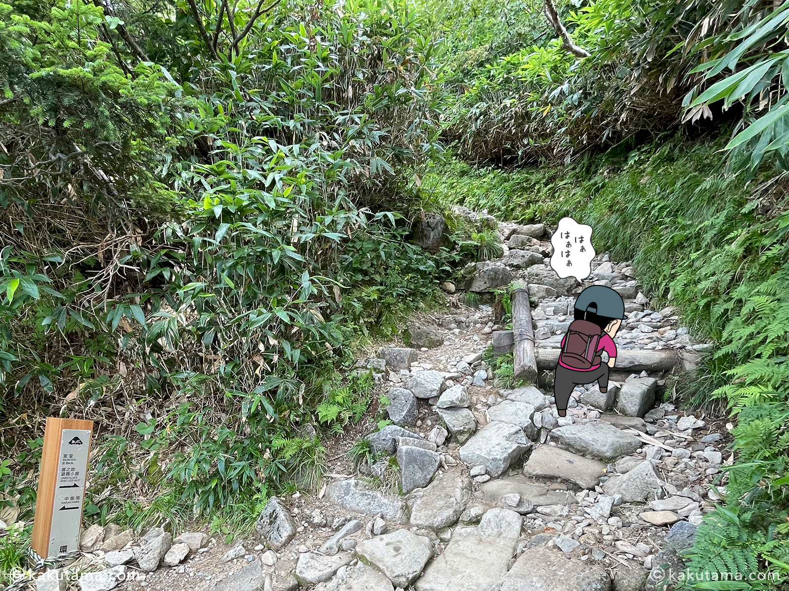 白山、砂防新道の登山道の写真と登山者のイラスト