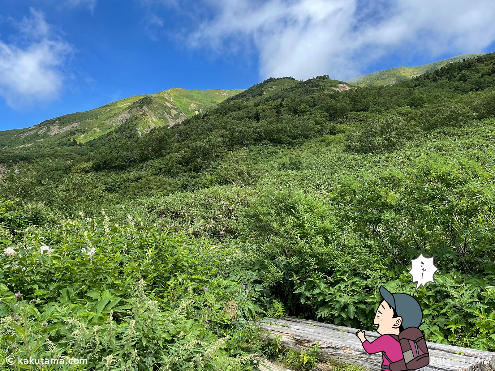 白山、砂防新道からみた山の稜線写真と登山者のイラスト