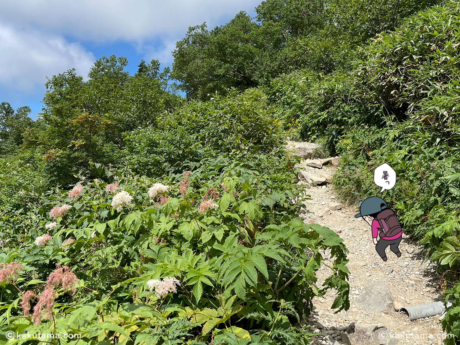 白山、砂防新道の登山道の写真と登山者のイラスト