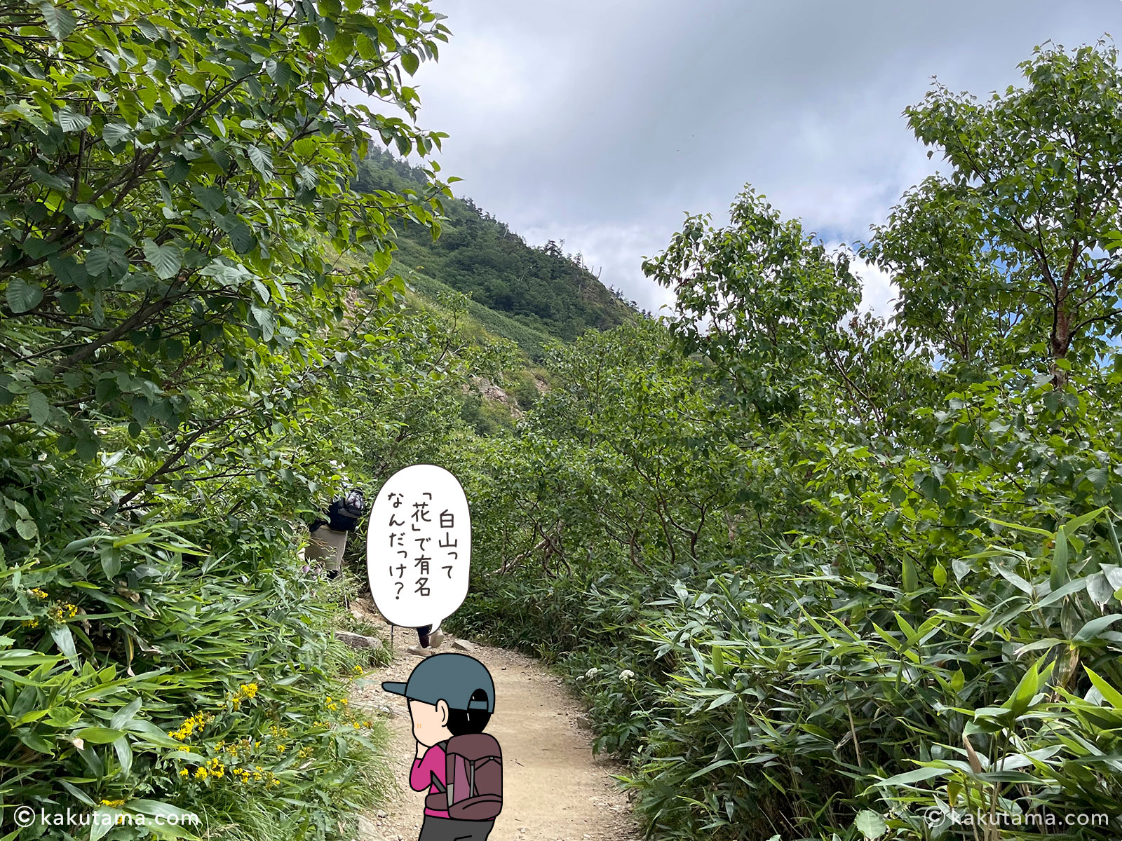 白山、砂防新道の登山道の写真と登山者のイラスト