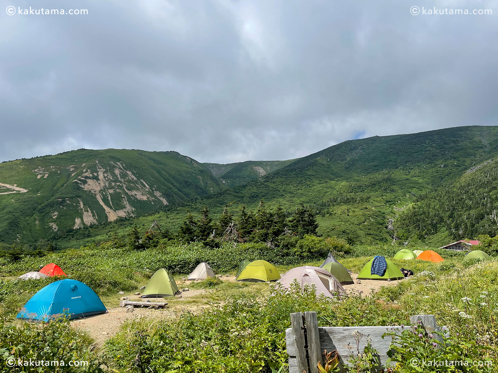 白山、南竜ヶ馬場野営場の写真