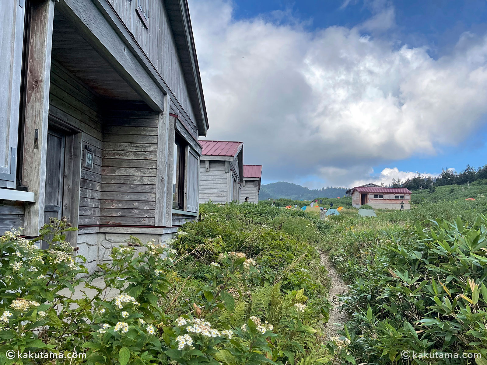 白山国立公園・南竜ヶ馬場野営場の風景写真